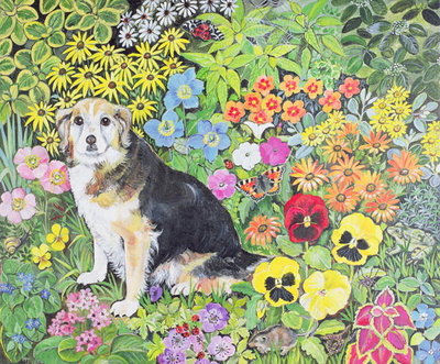 Caylie in the Border by Hilary Jones - print