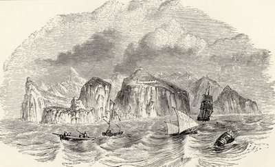 Fine Art Print of Illustration from 'Journal of Researches' by Charles Darwin by English School