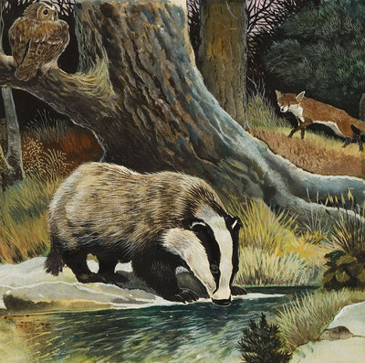 Fine Art Print of Badger, Fox, Owl and Mouse by Anonymous