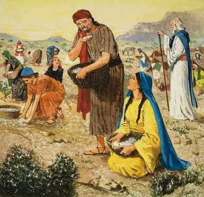 Fine Art Print of Moses in the Wilderness by Clive Uptton