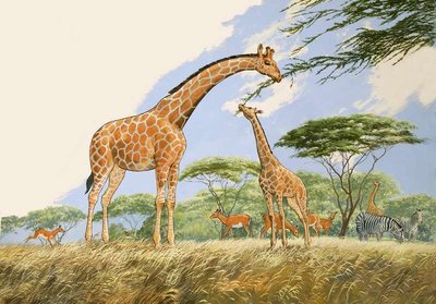 Fine Art Print of Nature Wonderland: High Tea for the Giraffe by English School