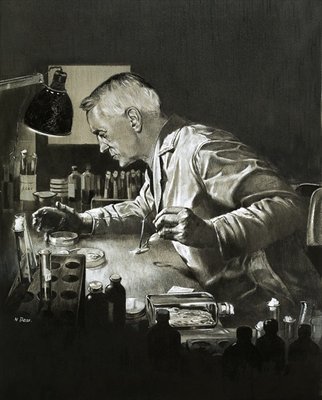 Fine Art Print of Alexander Fleming and the discovery of penicillin by Neville Dear