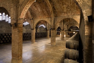 Fine Art Print of Wine cellar by Anonymous