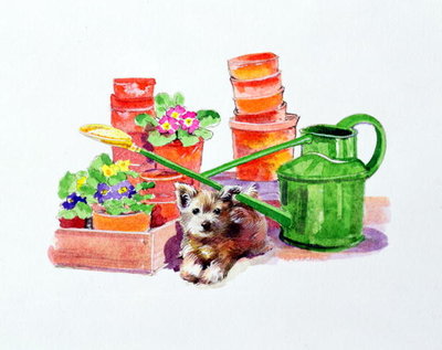 Terrier amongst Terracotta Pots by Diane Matthes - print
