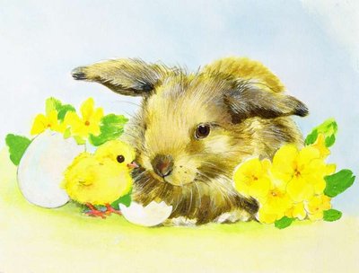 Easter bunny with primrose and chick by Diane Matthes - print