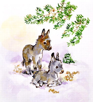 Donkeys by Diane Matthes - print