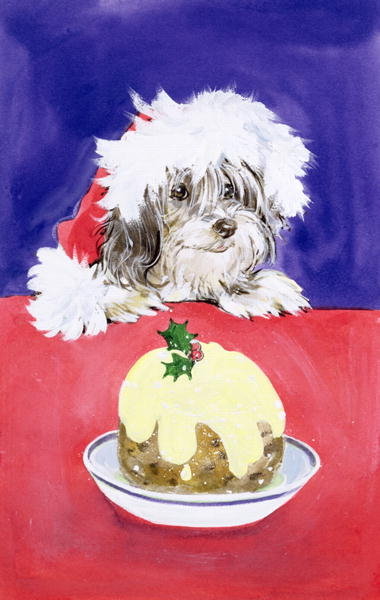 The Christmas Pudding by Diane Matthes - print