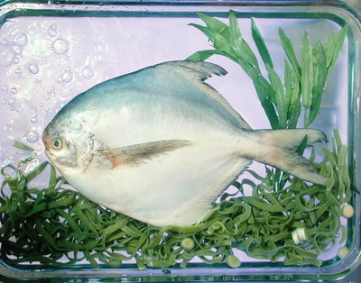 Fine Art Print of Pomfret, tagliatelle, tarragon &amp; spring onion, 1990 by Norman Hollands