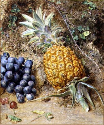 Fine Art Print of Grapes and a Pineapple by William Henry Hunt
