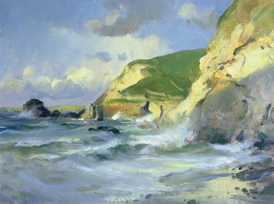 Cliffs at St. Agnes (oil on canvas) by Trevor Chamberlain - print