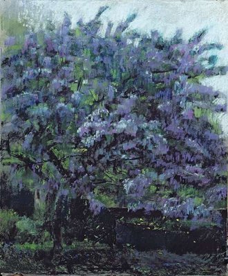 Fine Art Print of Ceanothus Tree No.1, 2004 by Ben Henriques