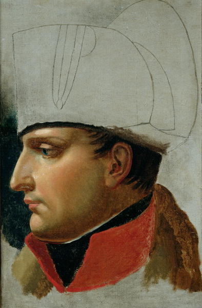 Fine Art Print of Unfinished Portrait of Napoleon I by Anne Louis Girodet de Roucy-Trioson