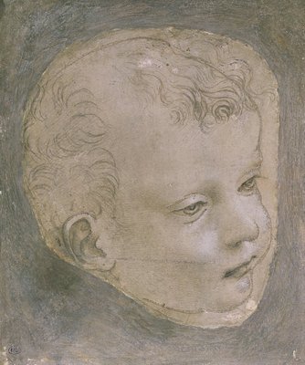 Head of a Child (pencil on paper) by Leonardo da Vinci - print