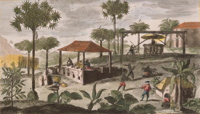 Fine Art Print of Sugar Refinery, illustration from 'Histoire des Antilles' by Jean Baptiste Labat by French School