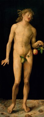 Adam, 1507 (oil on panel) by Albrecht Durer or Duerer - print