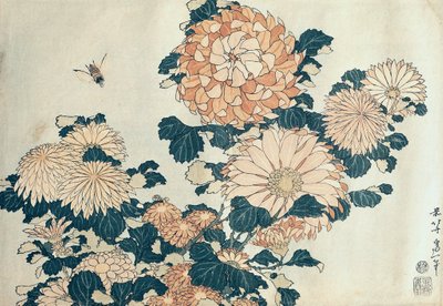 Chrysanthemums (colour woodblock print) by Katsushika Hokusai - print