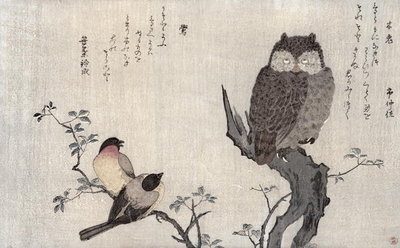 An Owl and two Eastern Bullfinches, from an album 'Birds compared in Humorous Songs, Contest of Poetry of the 100 and 1000 birds', 1791 (colour woodblock print) by Kitagawa Utamaro - print