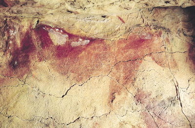 Representation of an animal, c.15000 BC (cave painting) by Prehistoric - print