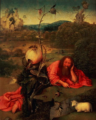 St. John the Baptist in Meditation (oil on panel) by Hieronymus Bosch - print