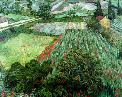 Field with Poppies, 1889 (oil on canvas) by Vincent van Gogh - print