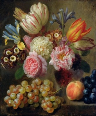 Fine Art Print of Flower Study by Balthasar Denner