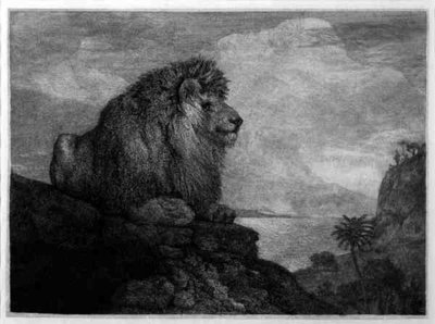 A Lion (A Lion Resting on a Rock) engraved by the artist (etching) by George Stubbs - print