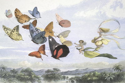 Fine Art Print of The Fairy Queen by Richard Doyle