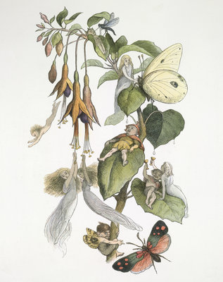 Fine Art Print of Feasting and fun among the fuschias by Richard Doyle