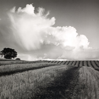 Large White Cloud near Bilsington by Fay Godwin - print