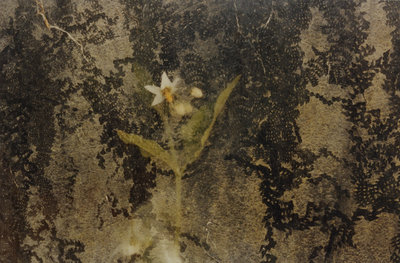 fay godwin glassworks