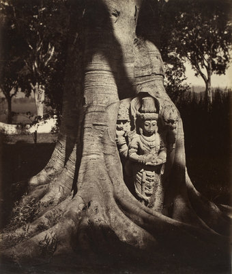 Deification stele with figure of Harihara by Isidore van Kinsbergen - print