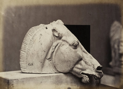 Sculptured Head of a horse by Leonida Caldesi - print
