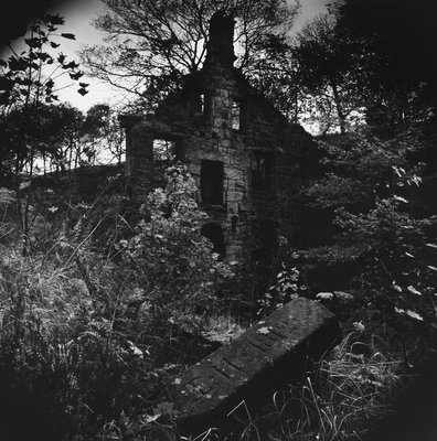 Staups Mill by Fay Godwin - print