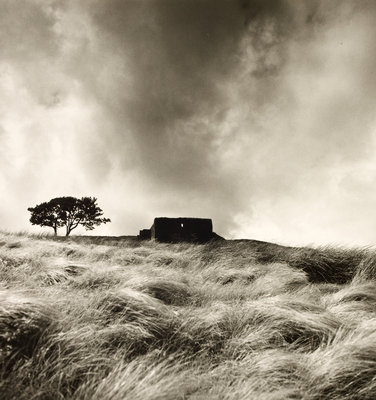Top Withens by Fay Godwin - print