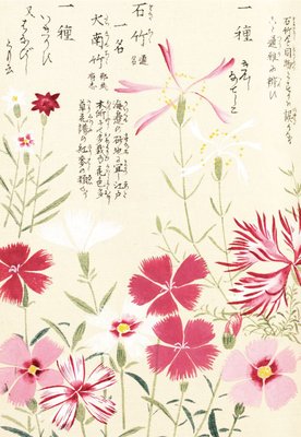 Honzo Zufu [Pinks] botanical print by Kan'en Iwasaki