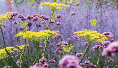 Fine Art Print of Colour Spectrum by Andrew McRobb