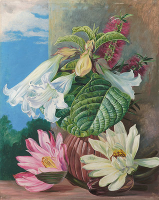 46. Flowers cultivated in the Botanic Garden, Rio Janeiro, Brazil. botanical print by Marianne North