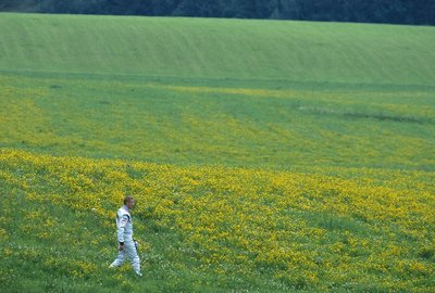 2000 Austrian GP, A1-Ring, Mika Hakkinen, fields, practice by Anonymous - print