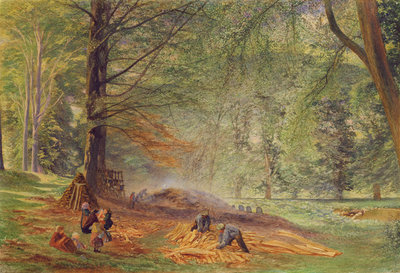 Charcoal Burners in Rokeby Park by Alfred William Hunt - print