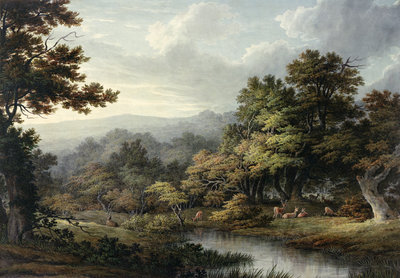 Forest Glade with Pool and Deer by John Glover - print
