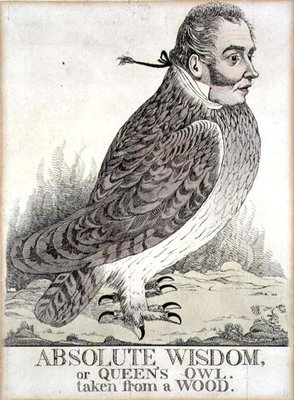 Absolute Wisdom or Queens Owl Taken from a Wood by Richard Dighton - print