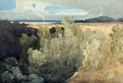 Brignall Banks on the Greta by John Sell Cotman - print