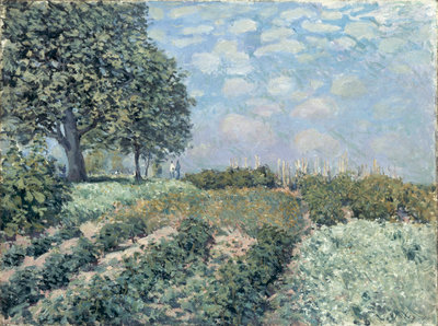 The Market Gardens, 1874 by Alfred Sisley - print