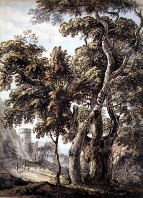 Study of Trees by Thomas Sandby - print