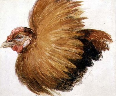 Game-Cock, from The Farnley Book of Birds, c.1816 by Joseph Mallord William Turner - print