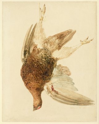 Grouse, from The Farnely Book of Birds, c.1816 by Joseph Mallord William Turner - print