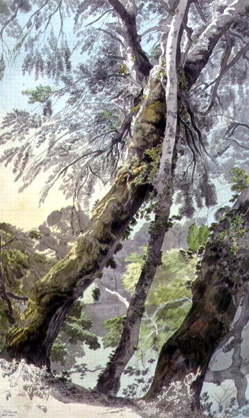 Trees Overhanging Water, 1800 by Francis Towne - print