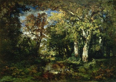 The Forest at Fontainebleau, 1870 by Narcisse Virgile Diaz de la Pena - print