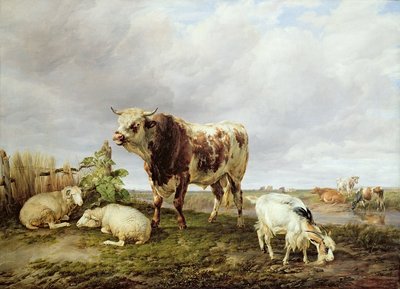 Cattle in the Meadow, 1843 by Thomas Sidney Cooper - print