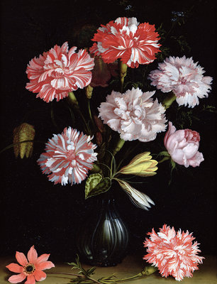 Floral Study: Carnations in a Vase by Balthasar van der Ast - print